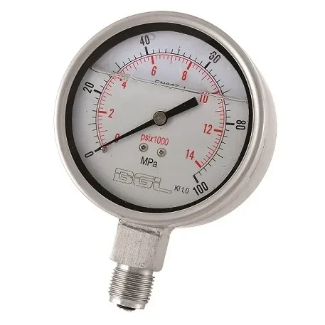 MANOMETRO HIDRAULICO 100 MPA (SPG100)