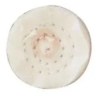 DISCO PULIDOR DE TELA 25.4 MM.  (423)